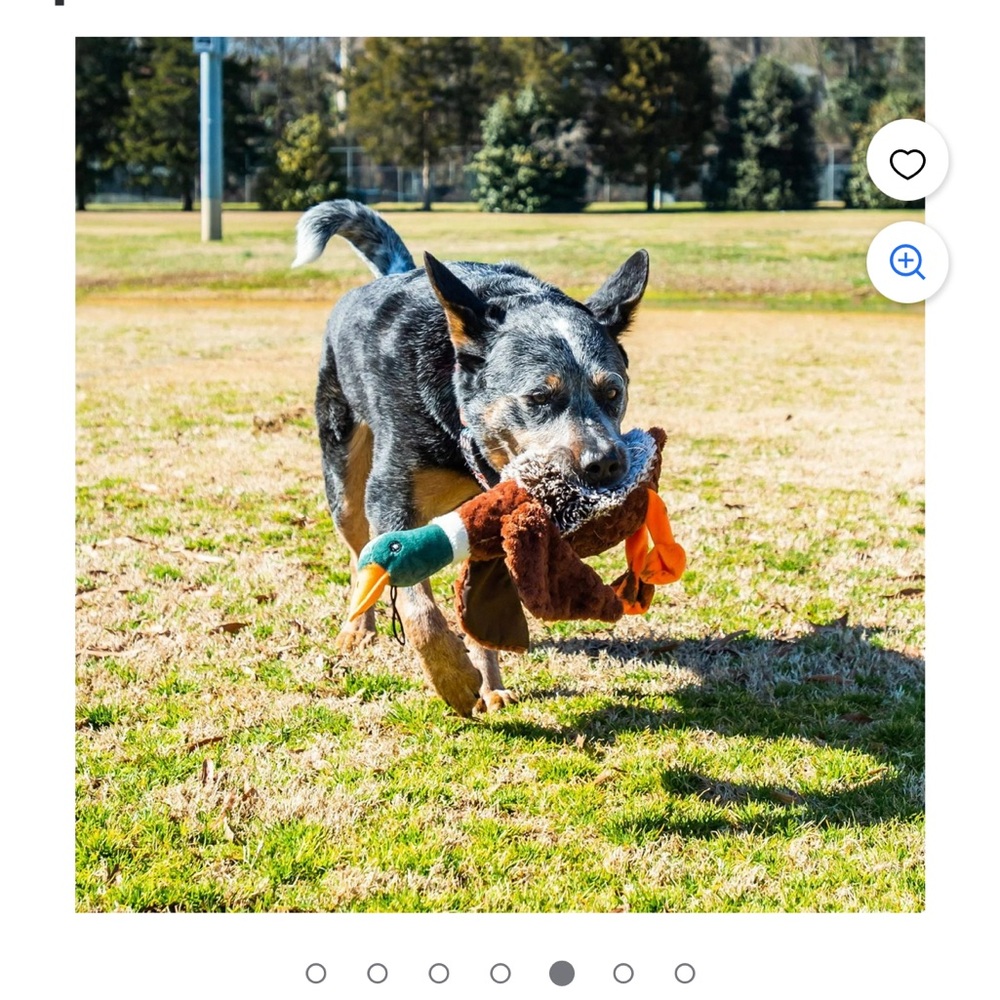 🦆 Duck Dog Interactive Toy - Picture 7 of 7